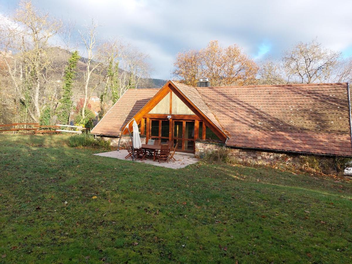 La Canopee Alsacienne - Magnifique Maison A Ribeauville Luaran gambar