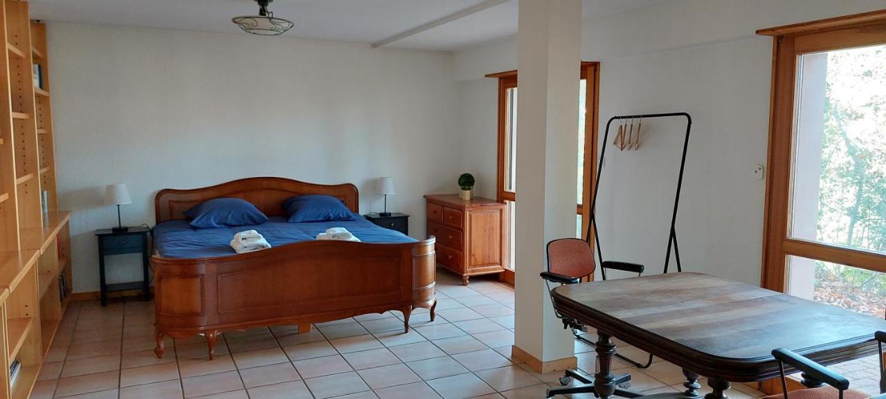 La Canopee Alsacienne - Magnifique Maison A Ribeauville Luaran gambar
