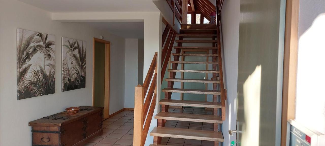 La Canopee Alsacienne - Magnifique Maison A Ribeauville Luaran gambar