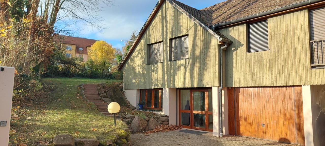 La Canopee Alsacienne - Magnifique Maison A Ribeauville Luaran gambar